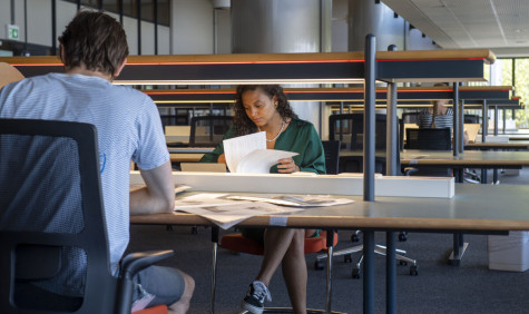 Images developed at the International Institute of Social History in Amsterdam for general use by SURF