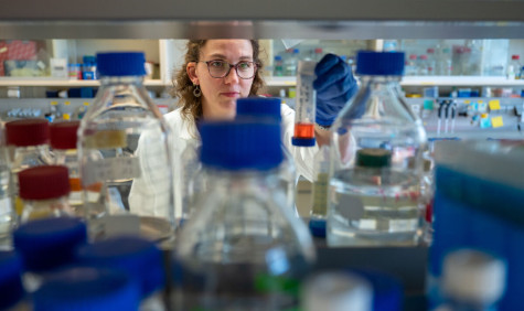 student kijkt naar reageerbuis in een chemielab
