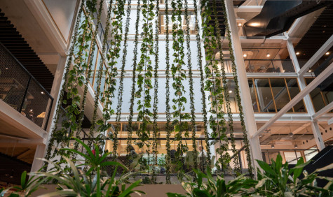 hal van de uva met planten hangend vanaf het plafond