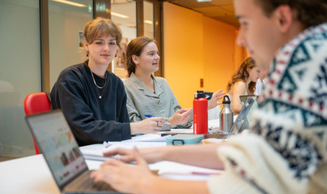 zijaanzicht van werkende studenten op een laptop