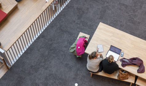 Foto van bovenaf genomen van een hal in een instelling met studenten aan tafels