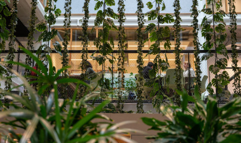 Hal van de UvA met hangende  en staande planten