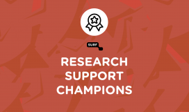 Research Support Champions