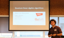 Quantum linear algebra algorithms