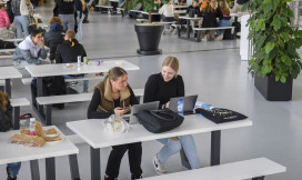studenten zitten in een kantine achter hun laptop te werken
