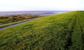 Dijk met uitzicht op zee
