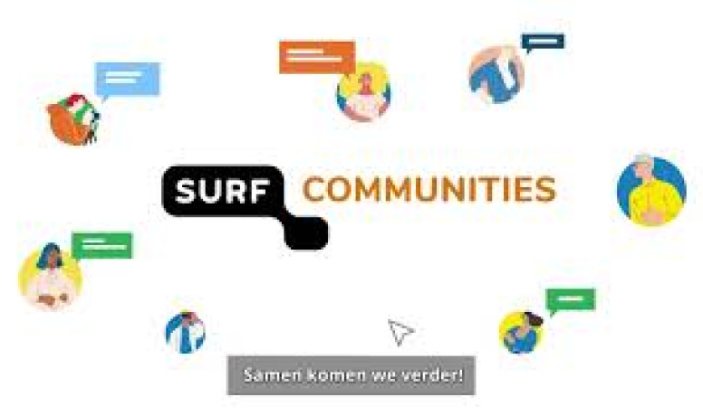 Surf online deals