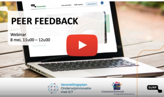 webinar peer feedback