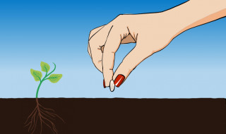 SURF Onderwijsdagen Zaadje planten