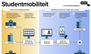 Infographic studentmobiliteit