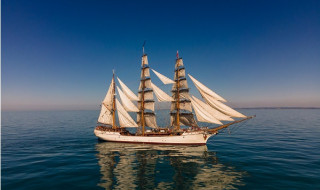 Bark EUROPA Foto Jack Cox