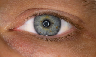 Close-up van oog
