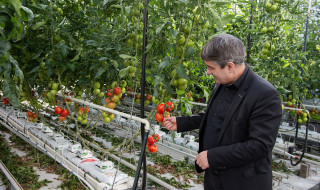 Patrick Cramers bij een tomatenplant