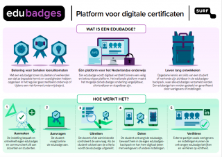 Infographic edubadges visual