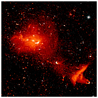 Coma cluster