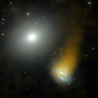 Jellyfish galaxy