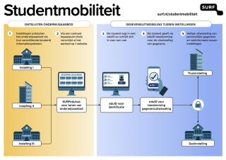 Infographic studentmobiliteit