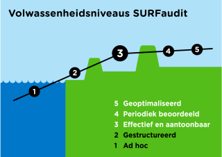Volwassenheidsniveau SURFaudit