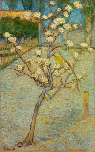 Schilderij Perenboompje in bloei van Van Gogh 