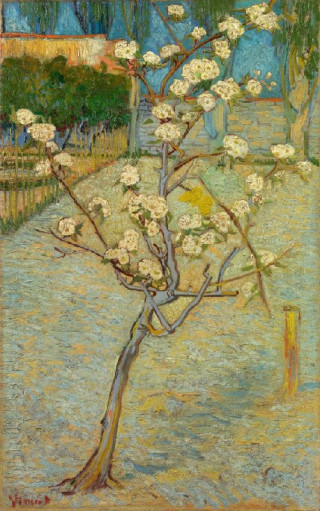 Schilderij Perenboompje in bloei van Van Gogh