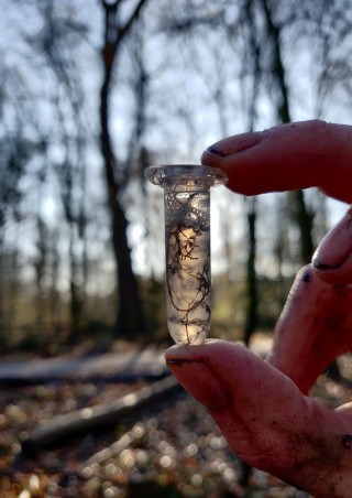 Hand houdt buisje met aarde en oppervlaktewater vast