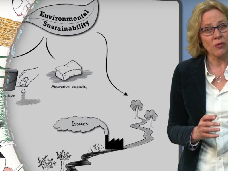 MOOC ‘Food Security and Sustainability: Systems thinking and environmental sustainability’ 