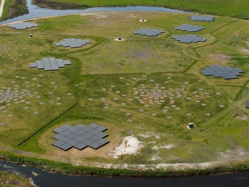 Veld met verschillende onderdelen die samen onderdeel zijn van LOFAR 