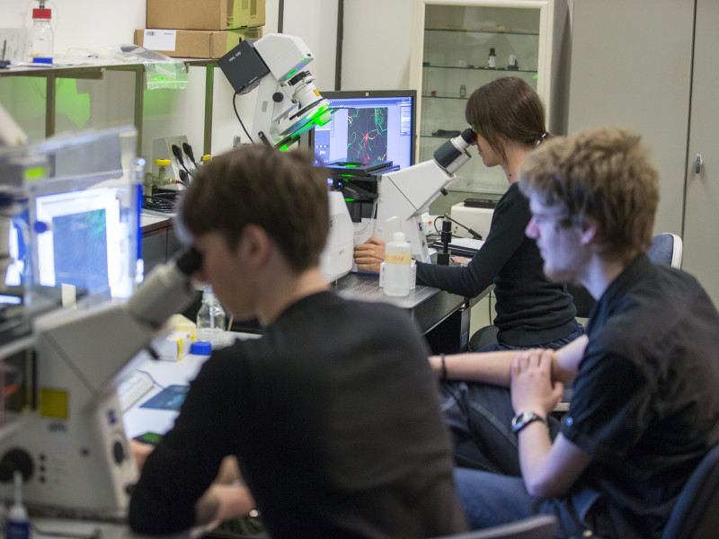 studenten maken gebruik van microscoop