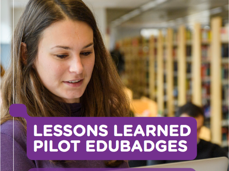 Cover lessons learned pilot edubadges