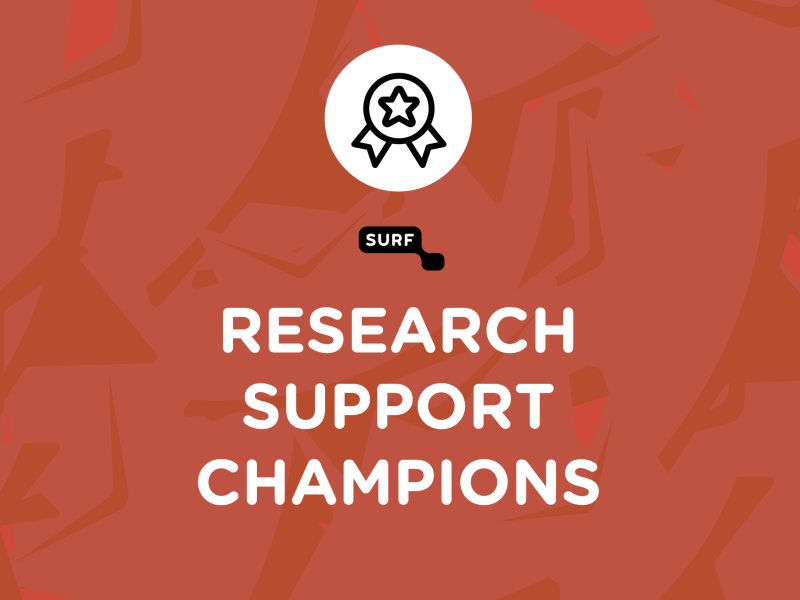 Research Support Champions