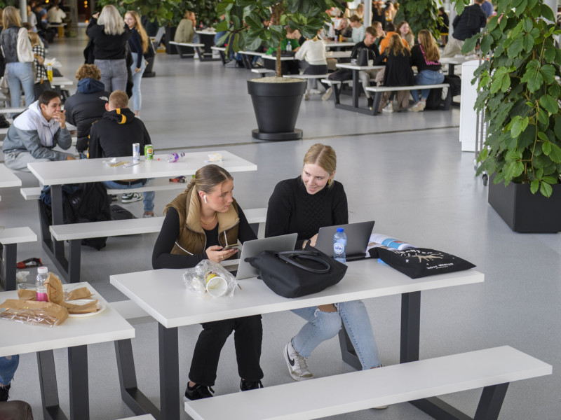 studenten zitten in een kantine achter hun laptop te werken
