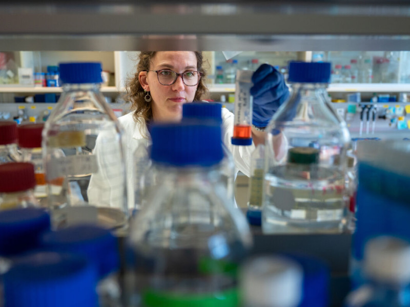 student kijkt naar reageerbuis in een chemielab