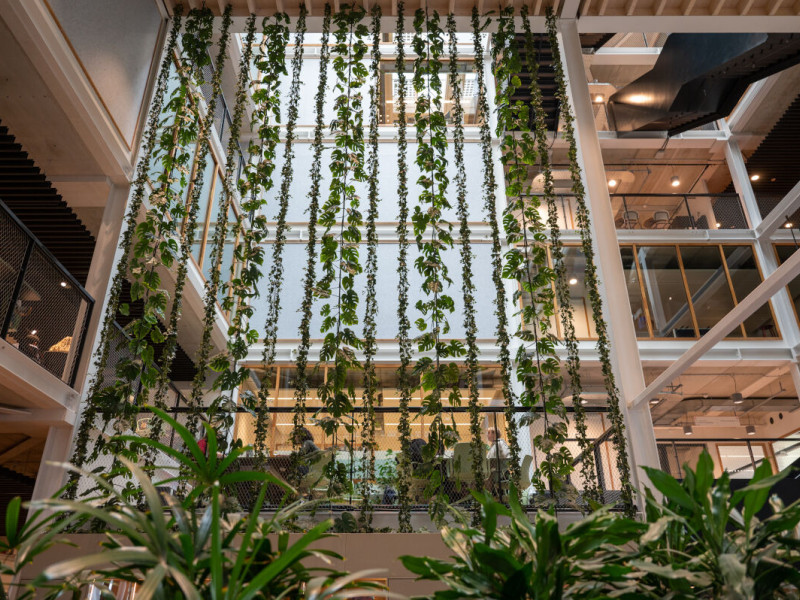 hal van de uva met planten hangend vanaf het plafond