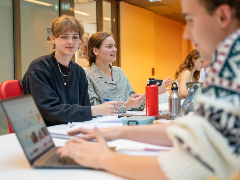 zijaanzicht van werkende studenten op een laptop