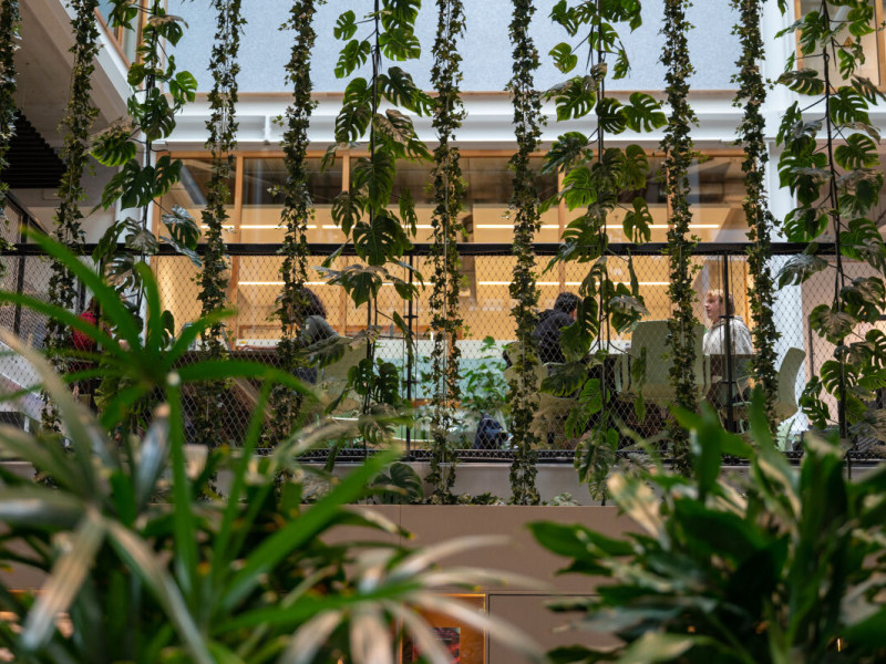 Hal van de UvA met hangende  en staande planten